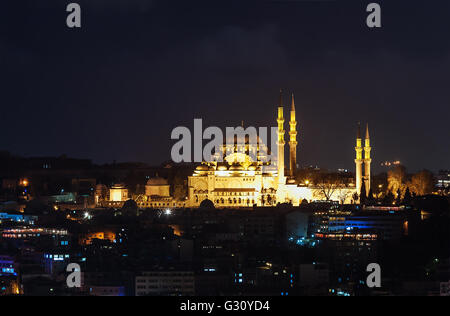 Istambul, Türkei - Februar 2015: Blick auf den Bosporus vom Galata-Turm in der Nacht. Stockfoto