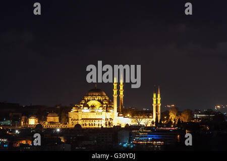 Istambul, Türkei - Februar 2015: Blick auf den Bosporus vom Galata-Turm in der Nacht. Stockfoto