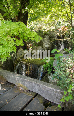 Hölzerne Brücke in der Nähe eines Wasserfalls in einem japanischen Garten Stockfoto