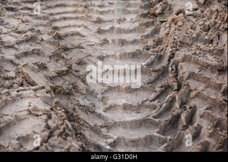 Close-up Reifen Spuren LKW auf einem Feldweg bei Tageslicht Stockfoto