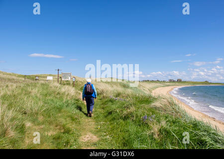 Ältere Frau zu Fuß auf Fife Coastal Path um West Bay Beach im Firth of Forth. Elie und Earlsferry East Neuk Fife Schottland Stockfoto