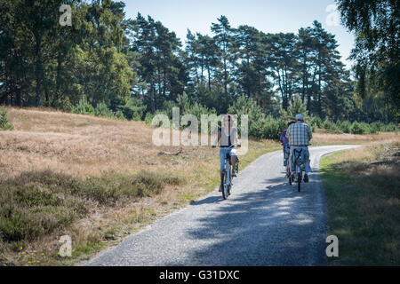 Arnhem, Niederlande, Radfahrer im Nationaal Park De Hoge Veluwe Stockfoto