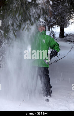 Neuenhagen, Deutschland, junge schüttelt den Wald Schnee von den Ästen eine Tanne Stockfoto