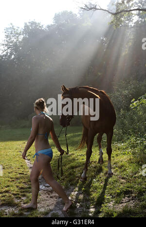 Schwerin, Deutschland, Frau in Bikini und ihr Pferd sind im Seitenlicht auf einer Waldlichtung Stockfoto