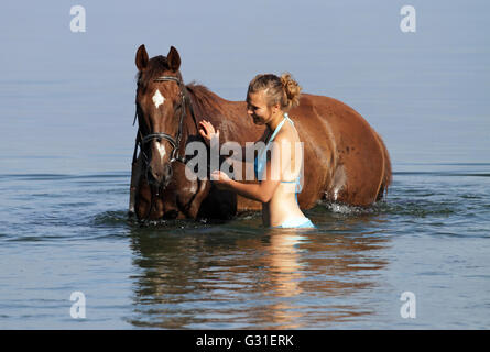 Schwerin, Deutschland, junge Frau badet ihr Pferd im Schweriner See Stockfoto