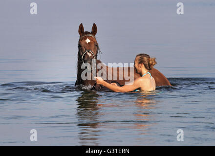 Schwerin, Deutschland, junge Frau badet ihr Pferd im Schweriner See Stockfoto