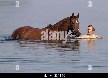 Schwerin, Deutschland, junge Frau badet ihr Pferd im Schweriner See Stockfoto