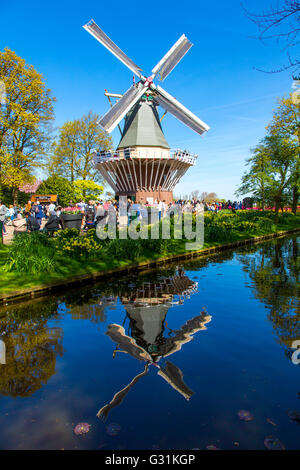 Der Keukenhof, Garten, Vergnügungspark, Spring Park, Blumenschau in der Feder, Lisse, Niederlande, niederländische Windmühle, Stockfoto