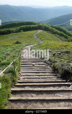 Holz- Trail von oben Tarnica in Bieszczady National Park in den Bergen der südlichen Polen, Blick auf die tarnica Trail die Höhe beträgt 1.346 Meter. Stockfoto