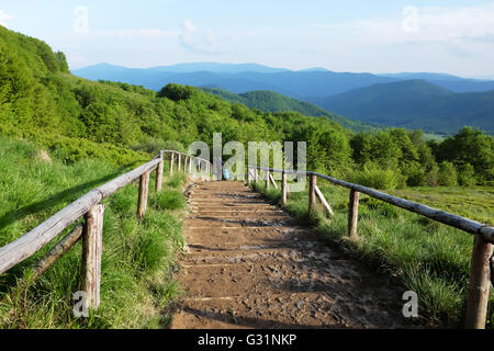 Bieszczady Nationalpark Berge des südlichen Polen Ansicht der Tarnica Trail die Höhe ist 1.346 m. Stockfoto