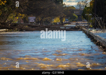 Camden, New-South.Wales, Australien. 6. Juni 2016. Cowpasture Brücke überflutet nach starken Regenfällen, der Haupteingang zum Camden Credit: Stonemeadow Fotografie/Alamy Live News Stockfoto