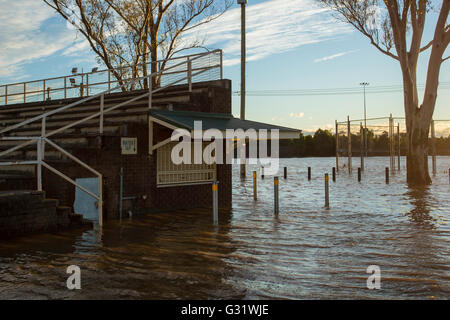 Camden, New-South.Wales, Australien. 6. Juni 2016. Onslow-Park in der Nähe von Camden NSW überschwemmt, nach heftigen Credit Regenfällen: Stonemeadow Fotografie/Alamy Live News Stockfoto