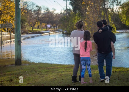 Camden, New-South.Wales, Australien. 6. Juni 2016. Brücke überschwemmt mit eine Familie sucht auf Kredit: Stonemeadow Fotografie/Alamy Live News Stockfoto