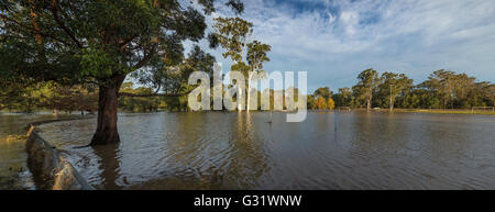 Camden, New-South.Wales, Australien. 6. Juni 2016. Belgenny Feld überschwemmt, nach heftigen Credit Regenfällen: Stonemeadow Fotografie/Alamy Live News Stockfoto