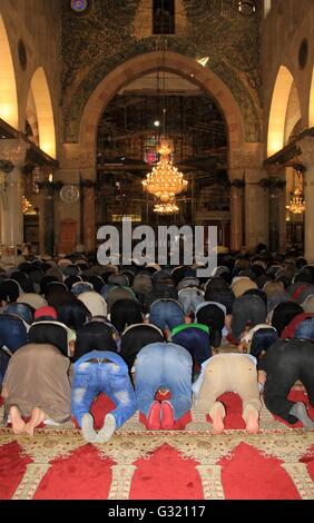 Jerusalem, Jerusalem, Palästina. 6. Juni 2016. Palästinenser Muslime beten in der al-Aqsa-Moschee, in der Jerusalemer Altstadt am 6. Juni 2016 am ersten Tag des Ramadan. Mehr als 1,5 Milliarden Muslime auf der ganzen Welt beginnen zu Ramadan der ersten Woche des Juni, während die praktizierende Muslime schnell von morgens bis abends feiern © Mahfouz Abu Türke/APA Bilder/ZUMA Draht/Alamy Live News Stockfoto