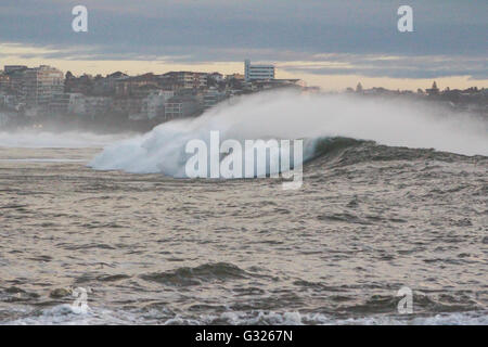 Sydney, Australien. 6. Juni 2016. Riesige Wellen, die in Richtung Manly Beach in Cabbage Tree Bay. Gebäude auf Queenscliff Head im Hintergrund. Bildnachweis: Max Kran/Alamy Live-Nachrichten Stockfoto