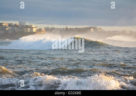 Sydney, Australien. 6. Juni 2016. Riesige Wellen, die in Richtung Manly Beach in Cabbage Tree Bay. Gebäude auf Queenscliff Head im Hintergrund. Bildnachweis: Max Kran/Alamy Live-Nachrichten Stockfoto