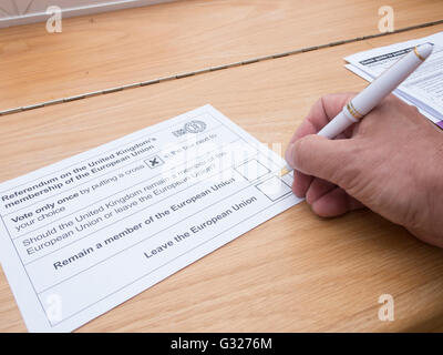 Exeter UK 7. Juni 2016 EU-Referendum-Abstimmung per Briefwahl abstimmen lassen Stockfoto