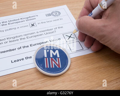 Exeter UK 7. Juni 2016 EU Referendum Stimmabgabe durch Briefwahl mit ich bin in Abzeichen Stockfoto