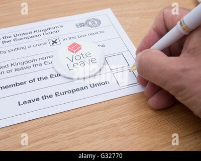 Exeter UK 7. Juni 2016 EU Referendum Stimmabgabe durch Briefwahl mit Abstimmung verlassen Abzeichen Stockfoto