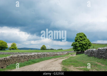 Bauernhof Spur und Trockenmauern Wände in Wensleydale Stockfoto