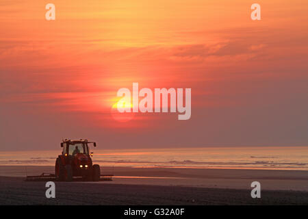 Sonnenaufgang am Strand von Wildwood Crest, New Jersey, USA Stockfoto