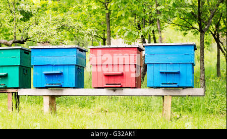 Drei bunt bemalte Bienenstöcke auf eine kleine hölzerne Plattform Stockfoto