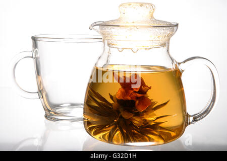 "Magic Kirsche", blühenden Tee, eine getrocknete Blume entfaltet sich in heißem Wasser Stockfoto