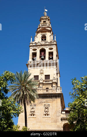 Glockenturm der Mezquita, Moschee-Kathedrale von Córdoba, jetzt eine Kathedrale, ehemals eine Moschee, Córdoba, Andalusien, Spanien Stockfoto