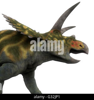 Coahuilaceratops war eine Ceratopsid pflanzenfressenden Dinosaurier, der in der Kreidezeit Periode von Mexiko gelebt. Stockfoto