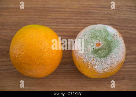 verfaulte Orange und eine gute Stockfoto