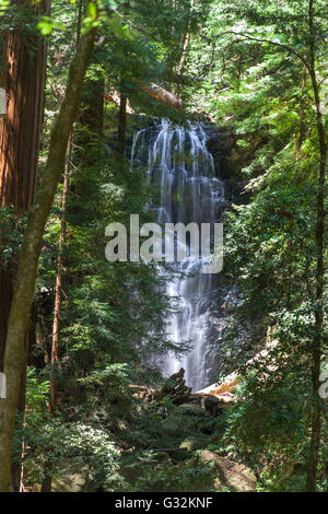 Berry Creek Falls befindet sich in Big Basin State Park Stockfoto