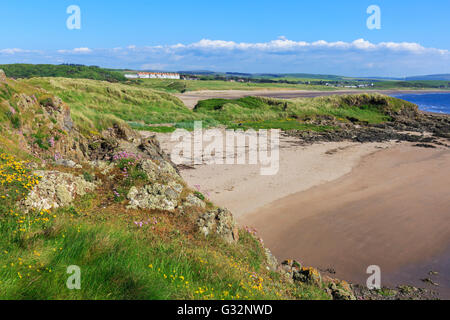 Bucht in Turnberry am Rande des Trump Turnberry Golf Course zeigt das Trump Hotel in Ferne, Ayrshire, Schottland, Großbritannien Stockfoto