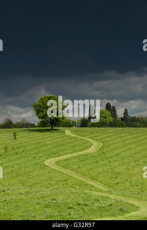 Fußweg beleuchtet gegen einen dunklen Gewitterhimmel durch ein Feld von Oxfordshire. Banbury, Oxfordshire, England Stockfoto