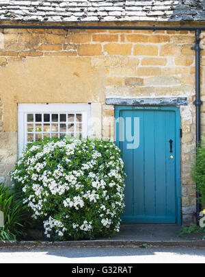 Blühenden Busch vor ein Fenster einer Hütte. Snowshill, Cotswolds, Gloucestershire, England Stockfoto