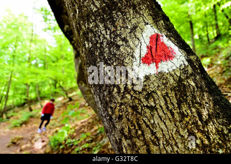 Rotes Dreieck Farbe Kennzeichnung an einem Baum mit Wanderer auf den Spuren Wandern Stockfoto