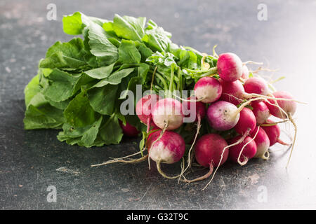 Handvoll frische Radieschen. Frische Radieschen auf alten Küchentisch. Stockfoto