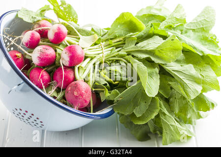 Frische Radieschen in Sieb. Roten Radieschen Gemüse. Stockfoto