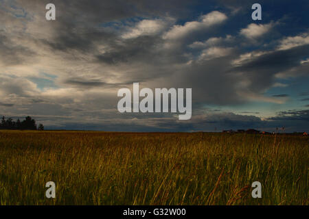 Sturm über ländliche Landschaft, Williams Lake, British Columbia, Kanada Stockfoto