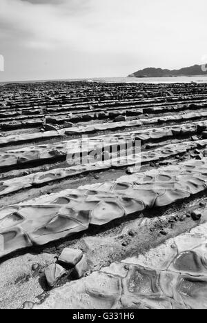 Felsformationen im Aoshima (Japan) Stockfoto