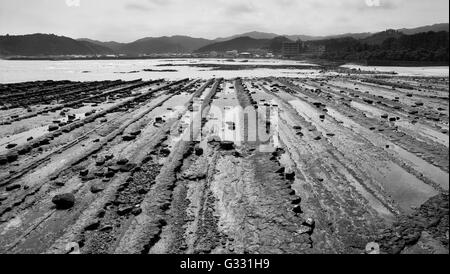 Felsformationen im Aoshima (Japan) Stockfoto