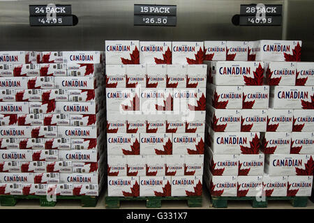 Molson Canadian Bierkisten auf dem Display in einem neu eröffneten Selbstbedienung Bier laden in Kingston, Ontario, am 16. März 2016. Stockfoto