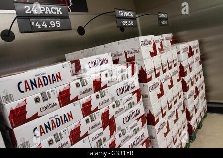 Molson Canadian Bierkisten auf dem Display in einem neu eröffneten Selbstbedienung Bier laden in Kingston, Ontario, am 16. März 2016. Stockfoto