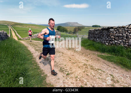 Läufer auf der Pennine Way Teilnahme an Horton in Ribblesdale Gala fiel Rennen, Yorkshire Dales National Park, Juni 2016 Stockfoto