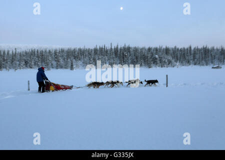 ? K skero, Finnland, Mann macht eine Fahrt mit dem Hundeschlitten Stockfoto