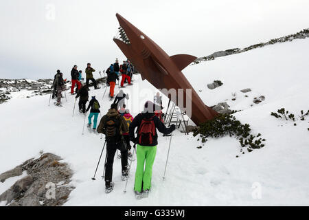 Startstelle, Österreich, Menschen machen eine Schneeschuh-Wanderung auf den Krippenstein Stockfoto