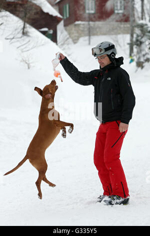 Startstelle, Österreich, Mann spielt mit seinem Hund im Schnee Stockfoto