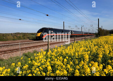 180 Zephyr-Klasse, Grand Central Züge Betriebsgesellschaft, High Speed Diesel Train, East Coast Main Line Railway, Peterborough, Stockfoto