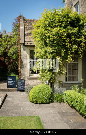 Rosa BANKSIA steigt die Veranda-Eingang an der Rose Garten Teehaus bei The Courts Garten UK Stockfoto