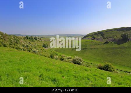 Peter Stein, Cressbrook Dale, Derbyshire, Peak District National Park, England, UK. Stockfoto